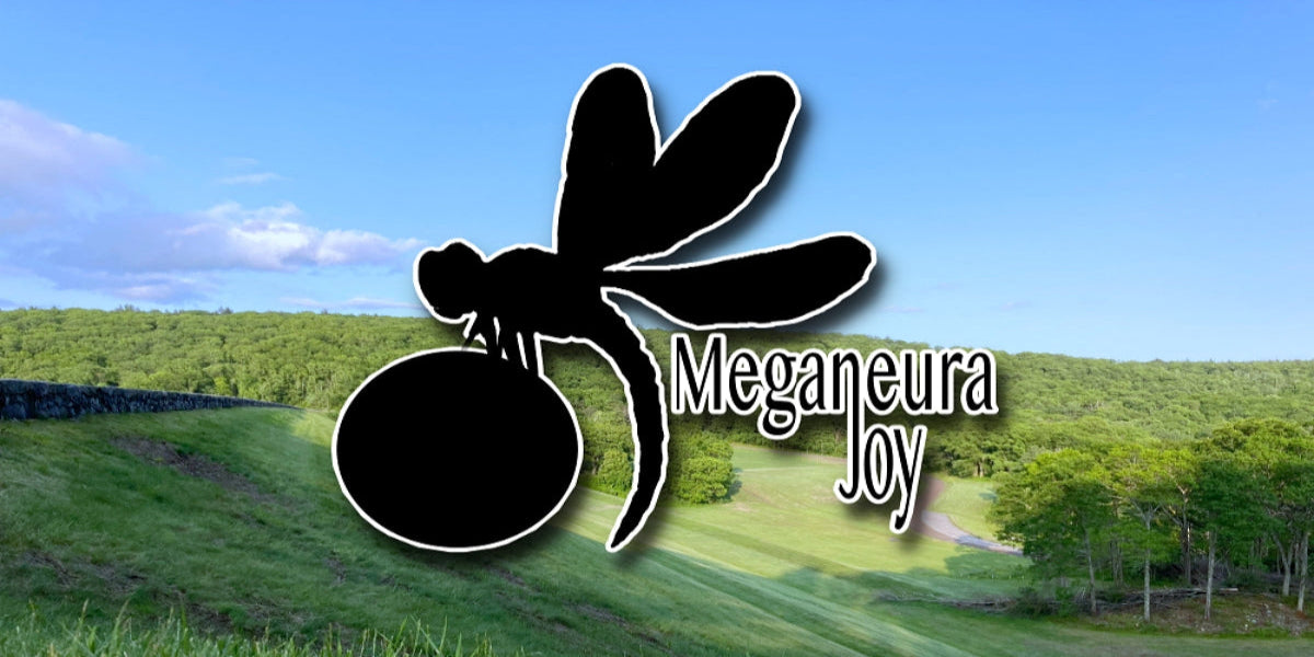 A black dragonfly silhouette holding a circular black object, with the white outlined text 'Meganeura Joy' over a scenic outdoor landscape of green hills and blue sky.